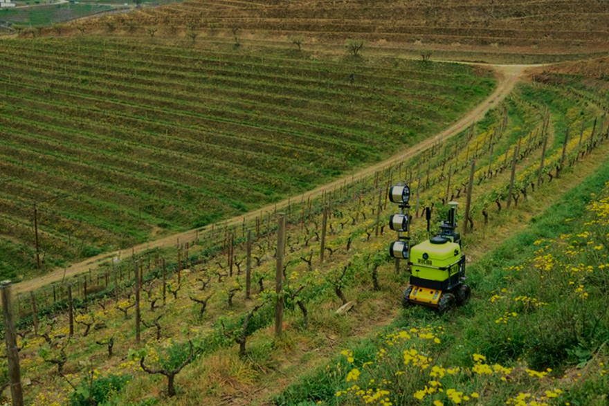 Pulverizadores Rocha with enhanced R&D