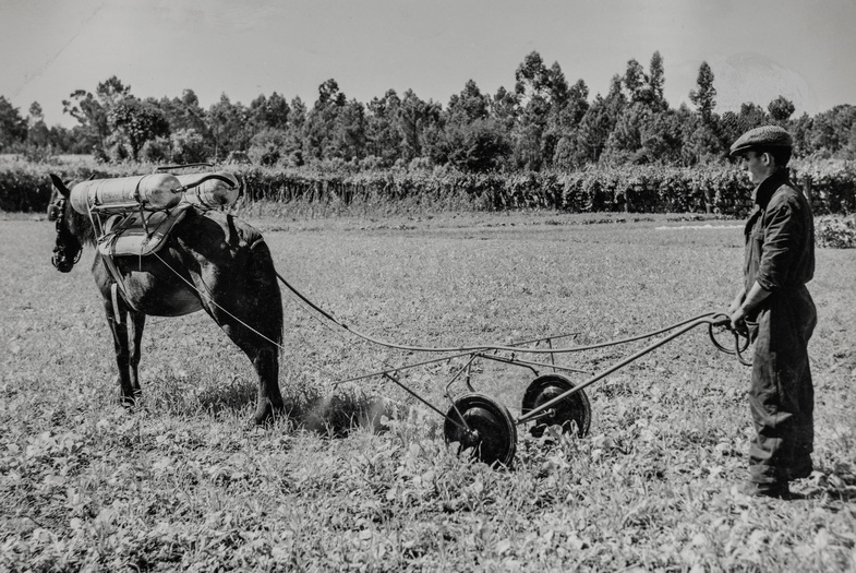 Pulvérisateur à traction animale